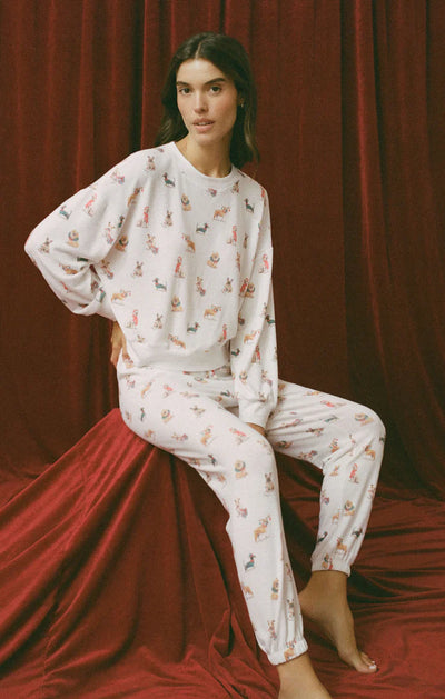 Z SUPPLY COZY PUP SET